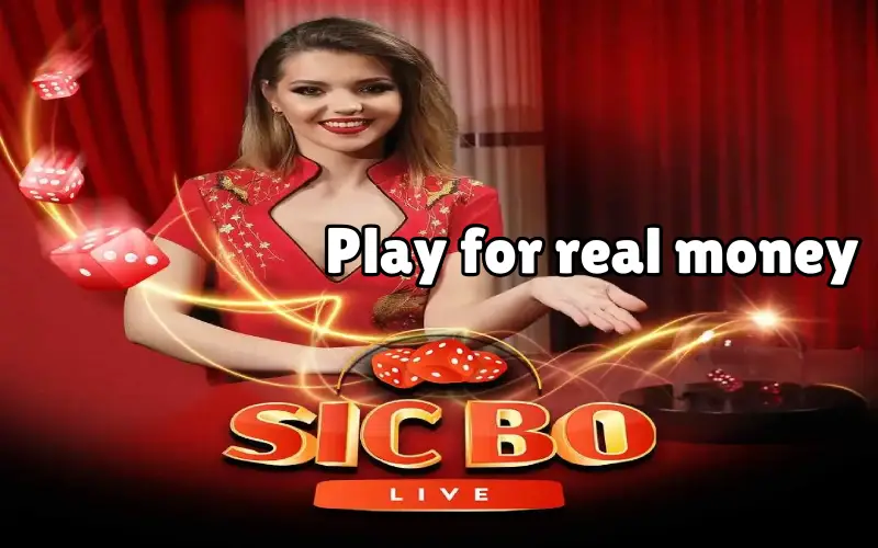 live sic bo